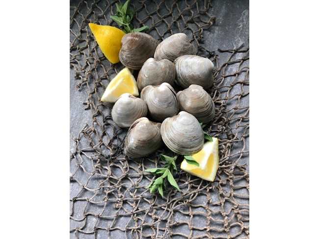  Littleneck Clams (1 ½" clam) - 100 count